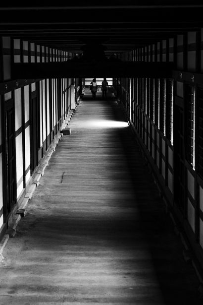 fig. 3: The shadows in the corridor of Zuiryu Ji Temple, Toyama, Japan.
